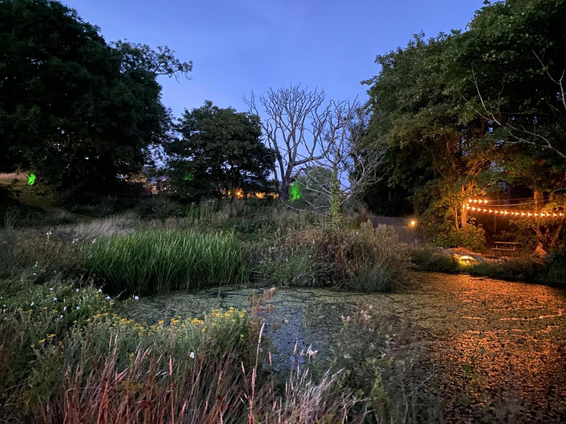 Foxglove - Luxurious Barn Conversion - Blossom Farm Johnston Exteriér fotografie